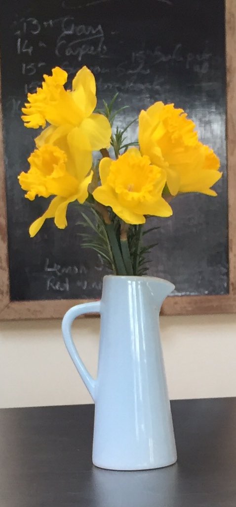 #daffs #frommygarden #Hampton #bright #yellow #lovedaffs #makemeSMILE #britishflowers
