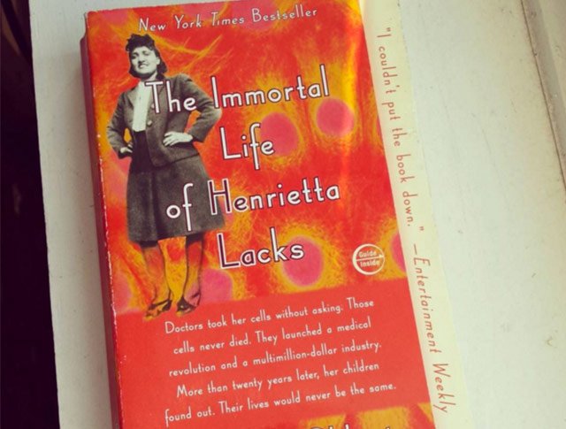 need2read's tweet image. 6 Life-Changing Books Every Woman Should Read bit.ly/1J7bn3d #readwomen #womenwhoinspire #fridayreads