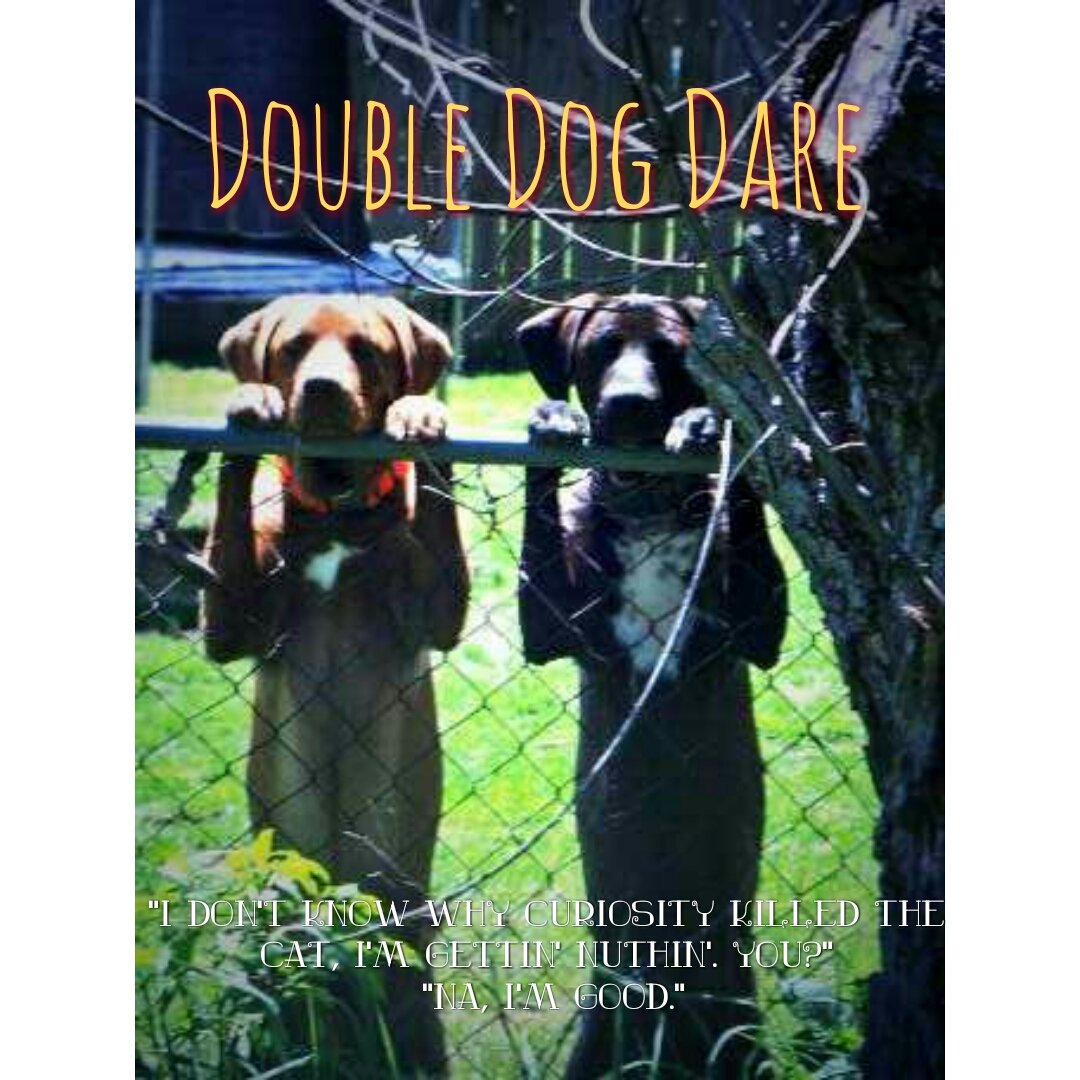 bARTenderShots's tweet photo. @bARTenderPix @bARTenderShots #dog #advertising #doubledogdare Advertisement by Scott Davis @FallupArt https://t.co/SN2gyFKELQ