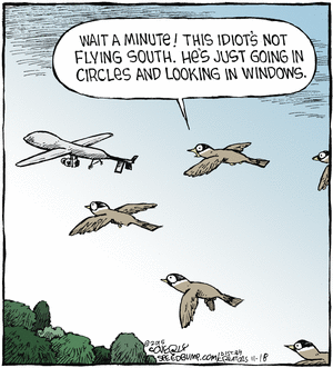 kommentar Milepæl lommelygter Gregory Mancuso on Twitter: "#Drones &amp; Birds #comics #cartoon #lol  #comedy #jokes #humor #hilarious #laughter #funny #fun #smile #AnimalLovers  https://t.co/lNtzfDrQWV" / Twitter