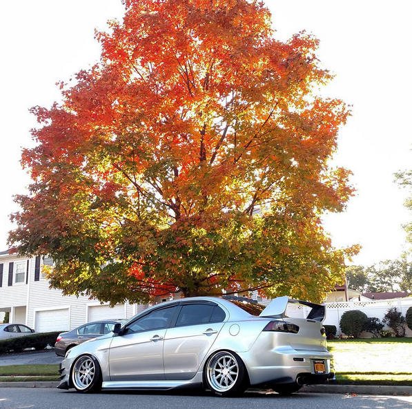 mitsucars's tweet photo. Sitting pretty underneath the trees. #Lancer 

📷: @jdm_tonyy https://t.co/j5xVDlYkJV