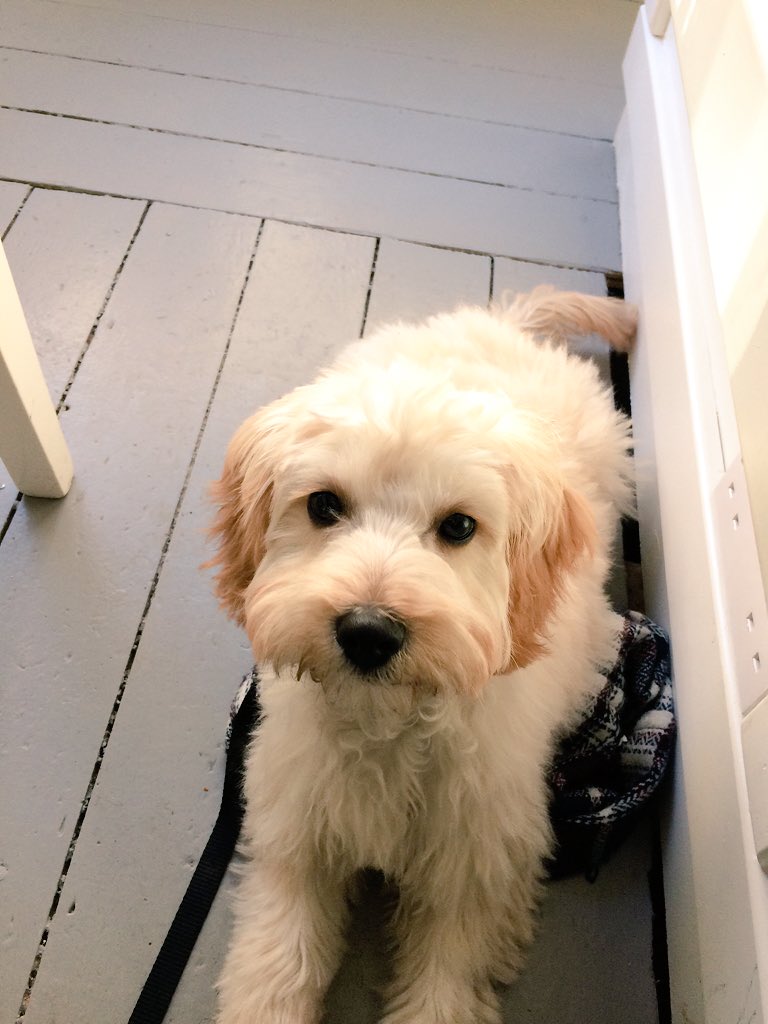 Stephjsoni's tweet image. Thanks for having me in Skipton today, my biscuit was delicious ☺️ @FilmoreandUnion