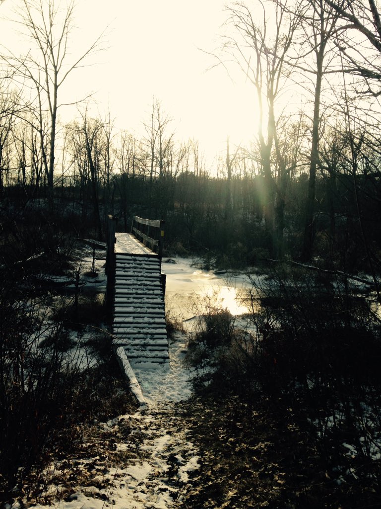 EvanStack1's tweet image. Once in a while it pays to check out your own backyard. #winterwalk