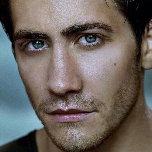 osbridgertons's tweet photo. Jake Gylenhaal as Colin Bridgerton https://t.co/ZweI4sy4wo