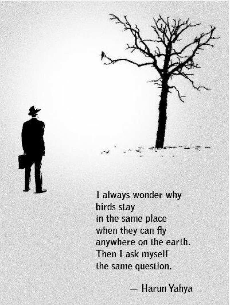 Go_Ash_Go's tweet photo. This is such an eye opening statement to me. Why do you keep passing up the opportunity to have the dream life? https://t.co/v7D7VoetlX
