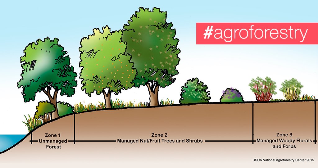 forestservice's tweet photo. Why add edible and floral plants to riparian forest buffers? #agroforestry #workingtrees https://t.co/StG9eOPSaL https://t.co/krdz8nQgXq