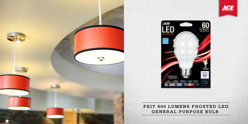 Ace Hardware on Twitter "Feit 60W equivalent LED bulbs are 2.99 each