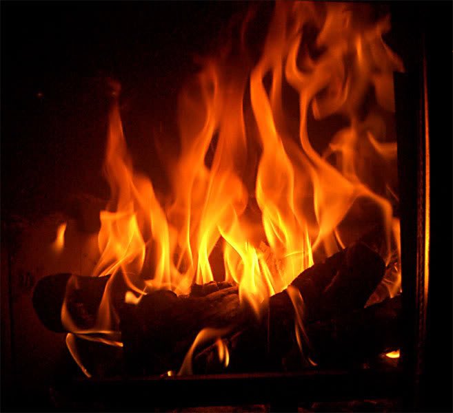 DebHeacox's tweet photo. Let's FIRE UP those FLAMES for a Blake Shelton & Craig Wayne Boyd tour! @blakeshelton @CWBYall #BlakeandCraig2016 https://t.co/rmi190iqUB