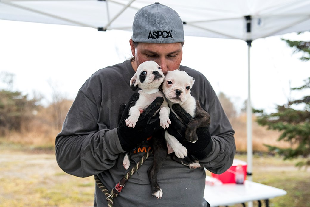 ASPCA's tweet photo. .@TheJusticeDept will begin tracking #animalcruelty nationwide. https://t.co/jiuFbGhFlJ https://t.co/GIijxjaRjX