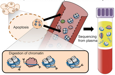 ExosomeRNA's tweet image. UW Study Demonstrates Tracking of #CellFreeDNA to Origin in Body - go.shr.lc/1NbXrQi @uwgenome