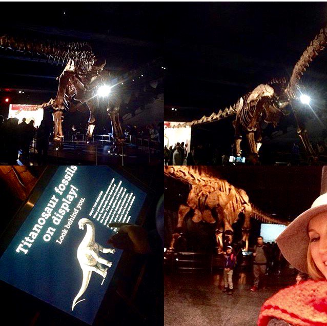 ideabox_yo's tweet photo. @AMNH #AMNH Great way to spend the #dayatthemuseum #vegetariandinosaur #socool #iloveny https://t.co/7E4T3ntXbe