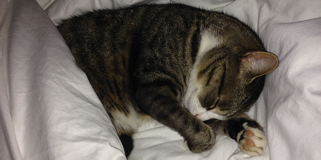 alignwithsource's tweet image. Grateful to have a three day weekend ahead of me. More time for me : )