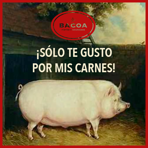 BacoaHumo's tweet photo. ¡Es que es delicioso! #Humor #PorkLove #BacoaHumo #RomaNorte #CDMX https://t.co/tKg7ccPN6d
