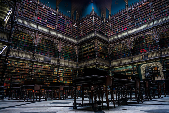 ManningWolfe's tweet photo. Biblioteca Real Gabinete Portugues De Leitura, Rio De Janeiro, Brazil #favoritelibrary https://t.co/zV8uEfyyQb