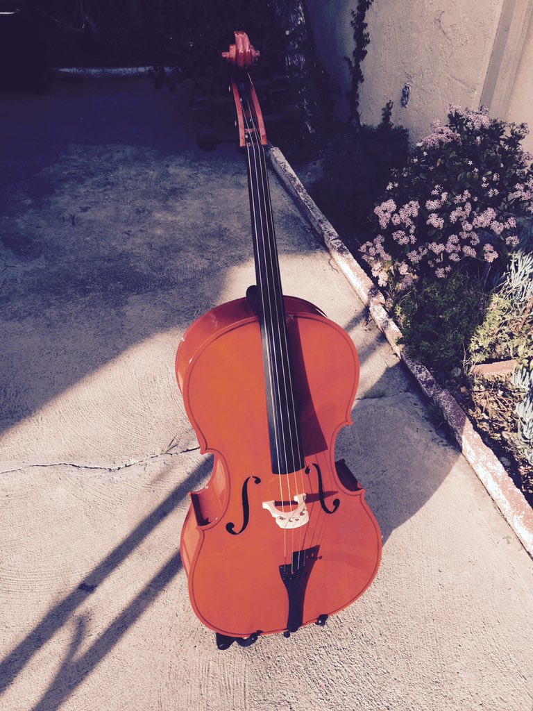 123cellotuner's tweet image. RT PicoSound1: #cello #notmidi #realstrings sometimes you need the real deal:)