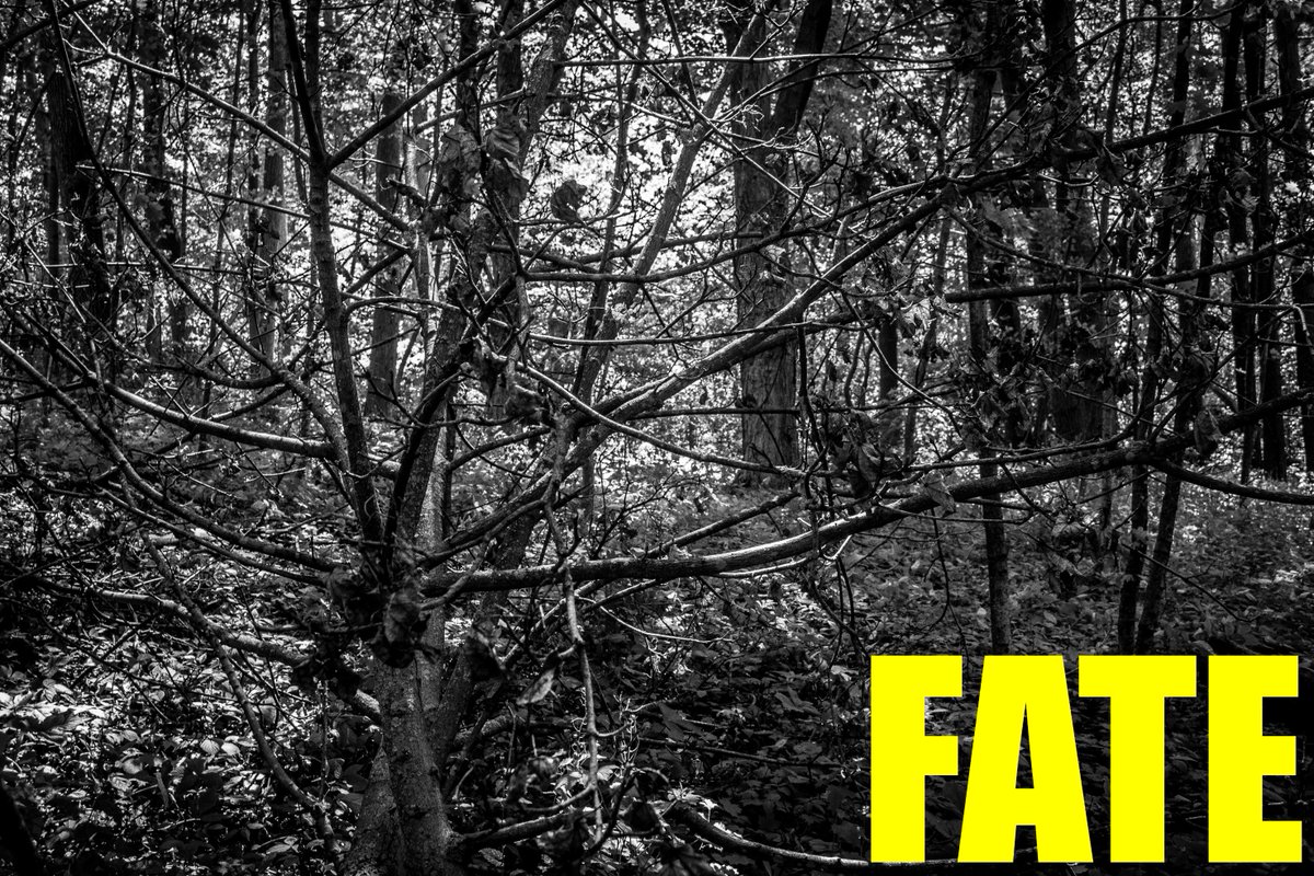 Atrophy2entropY's tweet photo. #fromatrophytoentropy #lethaloutreach #photography #FATE https://t.co/P4Rn1twI0M