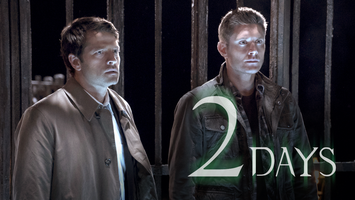 cw_spn's tweet photo. The greatest cage match in history begins in TWO DAYS when #Supernatural returns Wednesday at 9/8c! https://t.co/UV81yrfGia