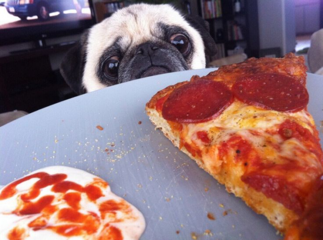 Numero28Austin's tweet photo. Don't let this happen to you. Order your own pizza. https://t.co/lSwApq7NY4