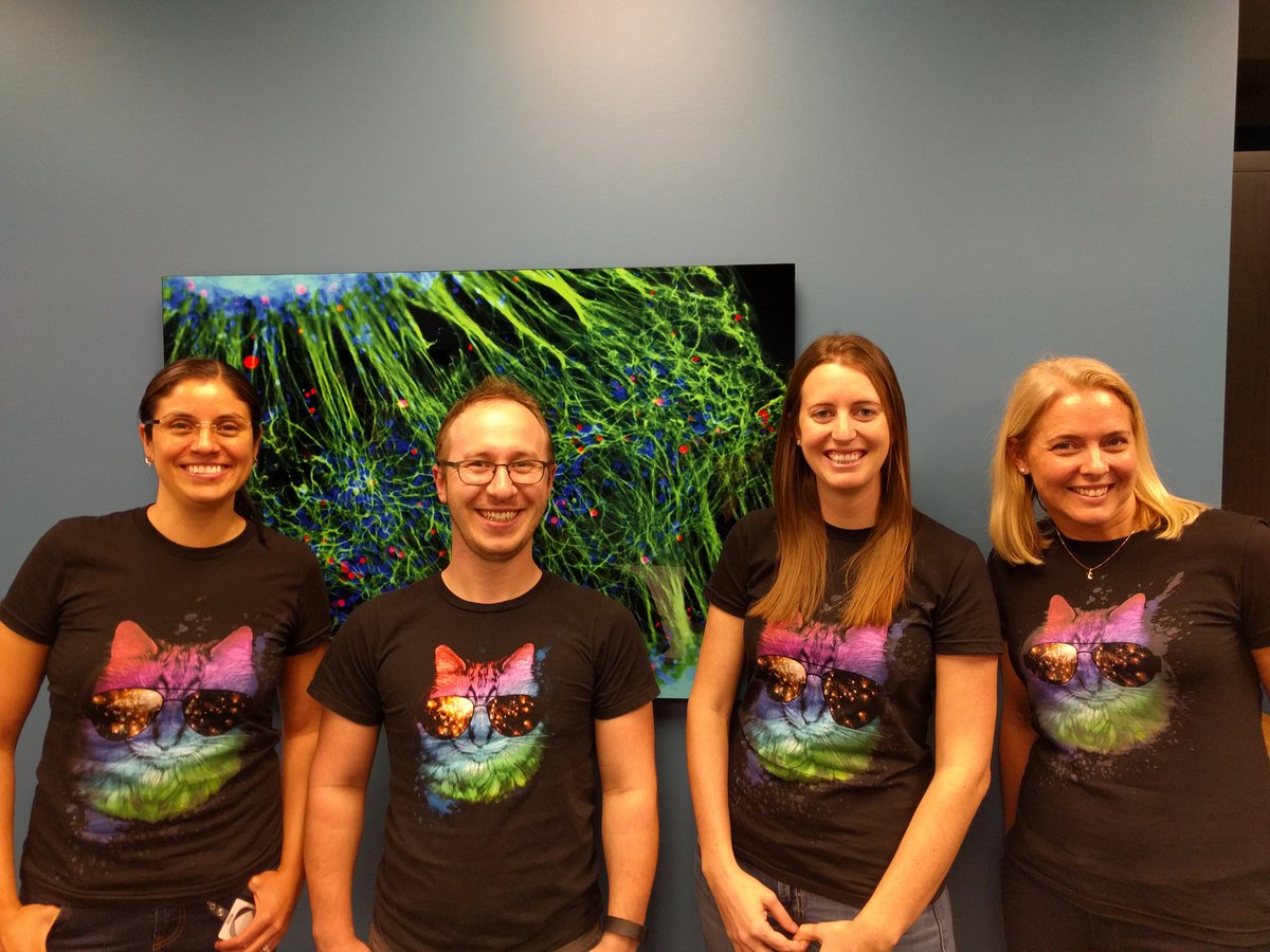 #catshirtfriday In honor of #jpm16 or JP Meowgan as we were calling it.