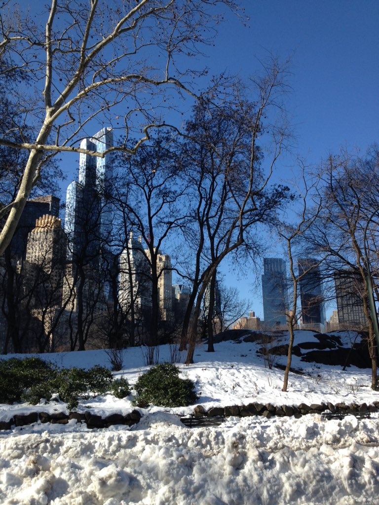 readyrunner326's tweet image. Spring #race training was in full force this morning. Groves of #runners in the park! #run #centralpark #nyc