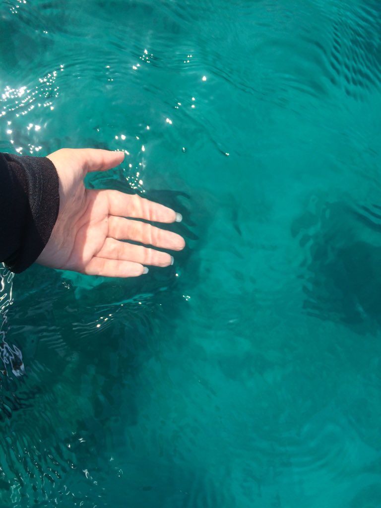 JA_quip's tweet photo. Day 1 ทริปปลูกปะการัง 🌱
เกาะราชาใหญ่ จังหวัดภูเก็ต
ดำน้ำดูปะการังน้ำใสปลาสวย 
ตอนกลางวันน้ำจะใสกว่าตอนเช้า https://t.co/Yv7eDtwphy