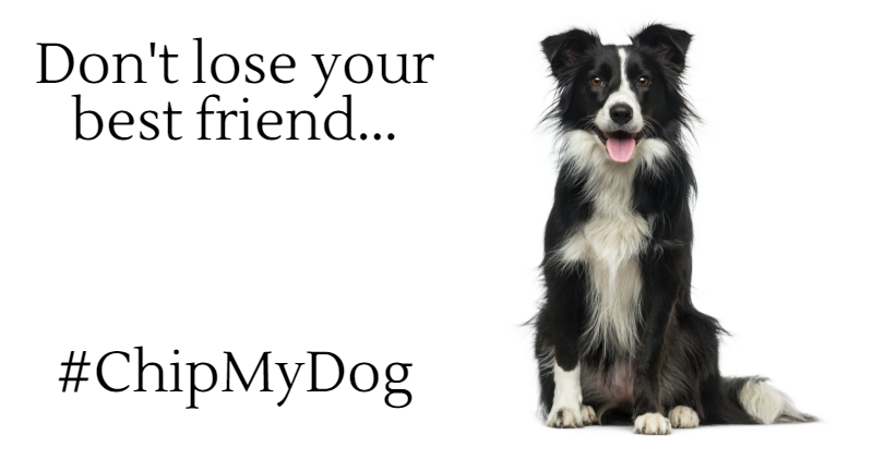 DefraGovUK's tweet photo. Do you know about the compulsory microchipping law coming into effect in April? https://t.co/SOzdabsDM9  #chipmydog https://t.co/etq0cEo2gu