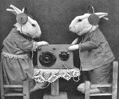 kinpodcast's tweet photo. We always listen back to our recordings to make sure they actually recorded. #recording #podcast #bunnies #work https://t.co/7YvP8aLTtO