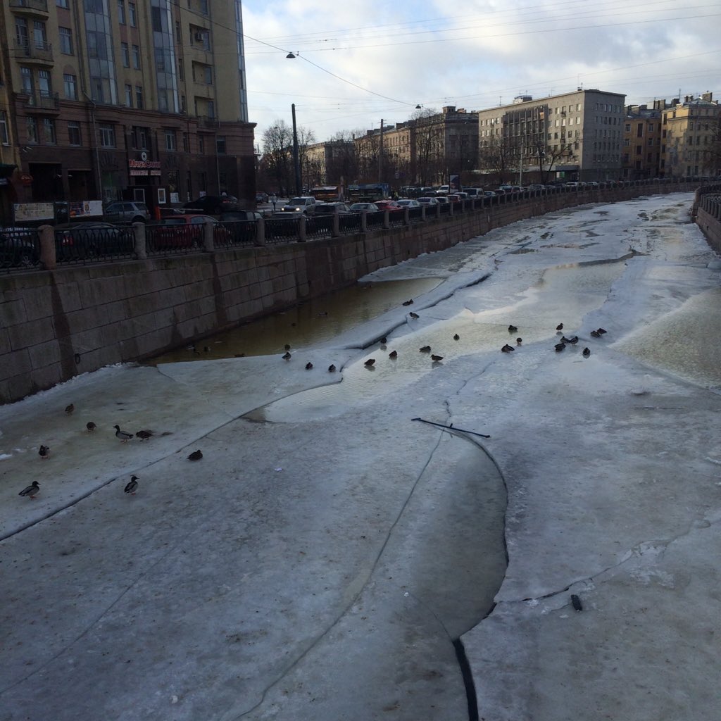 Ути на Петроградке..#спб #Питер #веснаВянваре