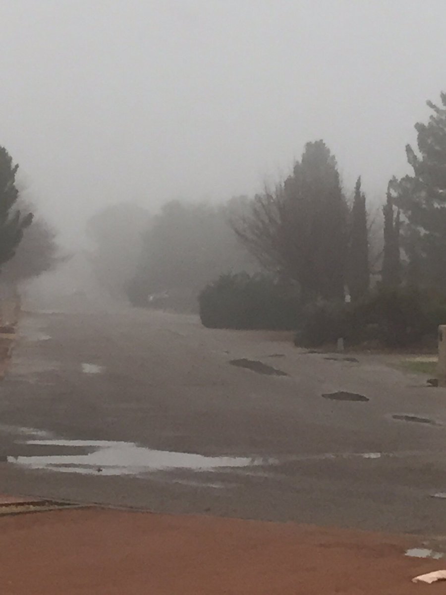 HTPDonna's tweet photo. Scene you don’t see often out here. #ThroughMyEyes https://t.co/dAzhIm9v2M