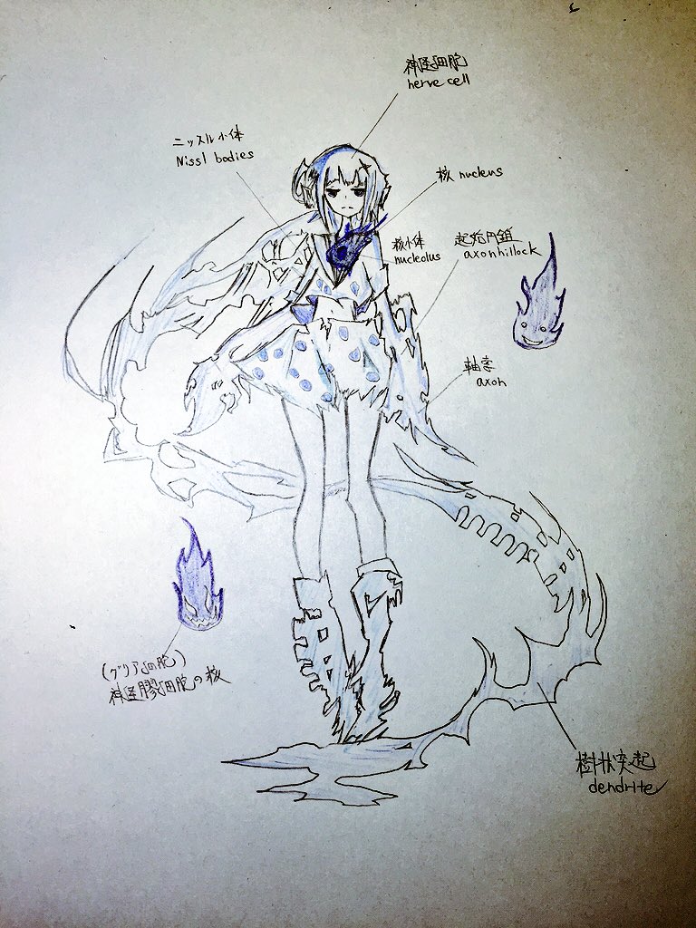 Joji 組織学ガチ勢の勉強法 個人的に神経細胞ちゃんのジト目がかわいい R ｿﾛｿﾛﾁｬﾝﾄﾍﾞﾝｷｮｳｼﾅｷｬ T Co J39atjvpqn Twitter