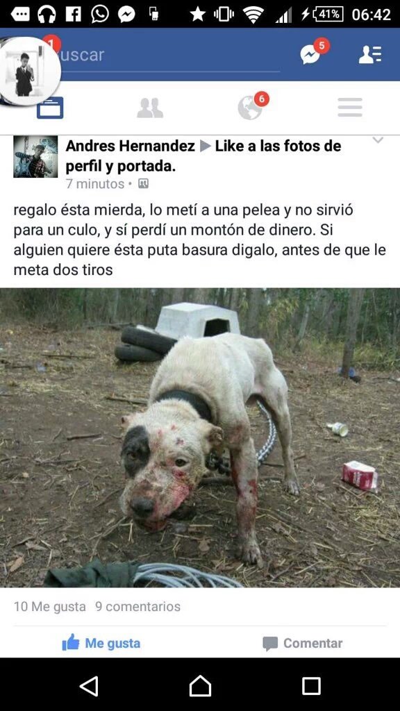 foxyyyonly's tweet photo. Menudo hijo de la gran puta. https://t.co/HIbrGTK1bQ