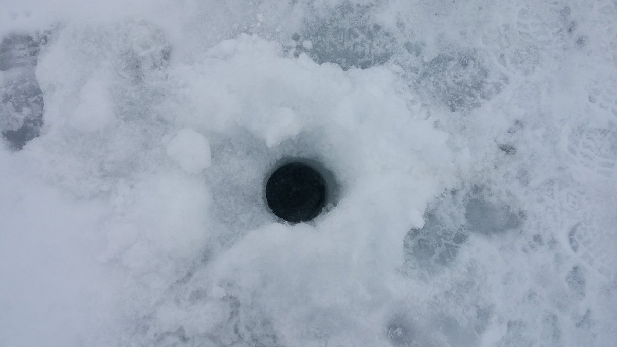 jfarkas14's tweet photo. Day 1 of #muddpuppy #eDNA surveys went great! Ready for day 2! #kerbysark #BigStoneLake #StayingWarm https://t.co/hMK5maxoDo