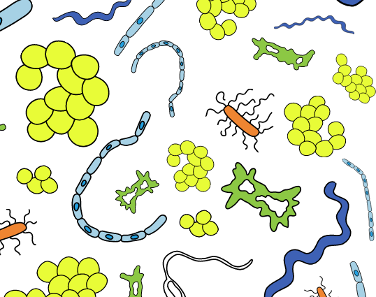 AMNH's tweet photo. This week we celebrated the wonderful world of microbes! Take a look: https://t.co/GtnNAfQYAl #MicrobeWeek https://t.co/I0TvZz3E4E