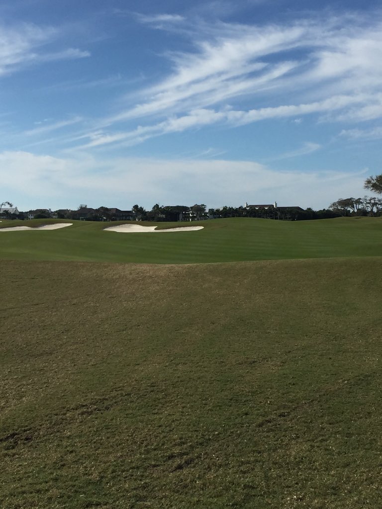 Turf_Nick111's tweet image. Good morning from Vero Beach! #PolyonStrong and #HarrellsMax #NoOverseed