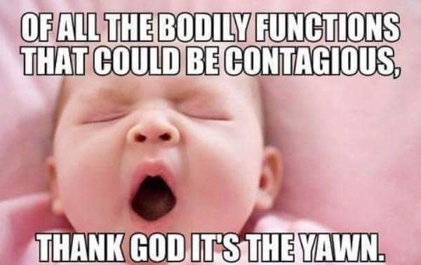 ARKkreations's tweet image. #bodilyfunctions #lol #funny