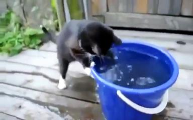 DFW Emergency Ice tweet media