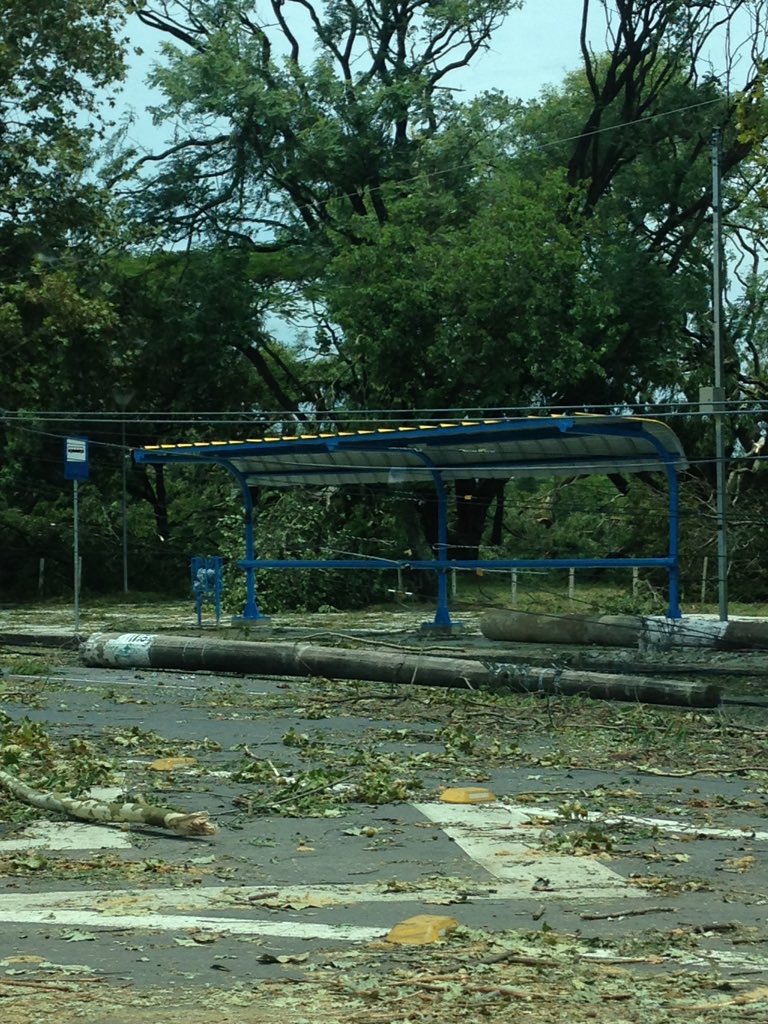 Postes de concreto forma quebrados pela tormenta no Marinha. (Imagem: Daniel Scola - Rádio Gaúcha)