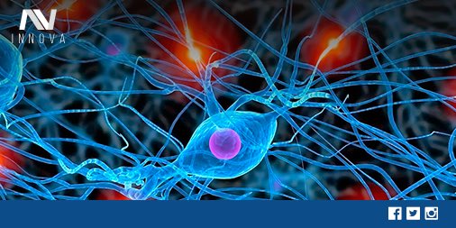 InnovaTuLectura's tweet image. Durante la lectura hay un incremento sustancial e inesperado en el flujo 
sanguíneo en el cerebro. #DatoImportante