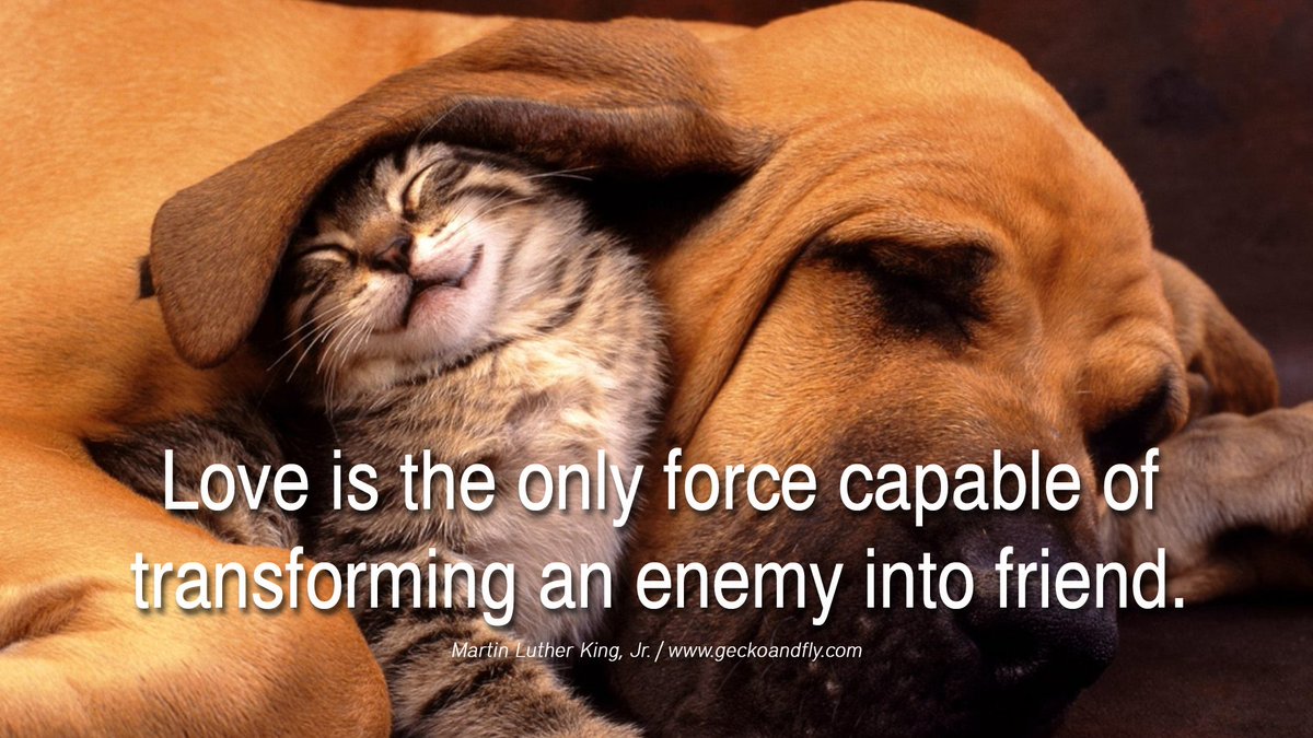 MeVisionAcademy's tweet photo. Love is the only force capable of transforming an enemy into friend. - Martin Luther King, Jr. https://t.co/U2QIuDjWfZ