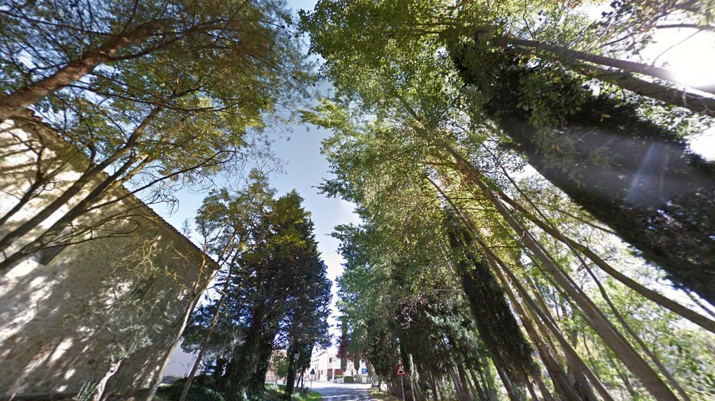 Forestal Alcarreña (@forestalcarr) on Twitter photo 