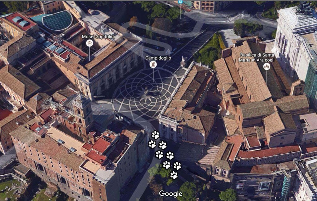 Gabbiano3_0's tweet photo. A breve @MiC3_0 si ritroverà in una delle più famose #piazze del mondo! #roma #micRoma @museiincomune https://t.co/KRVqam9AQv