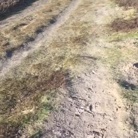 YourOwnTraining's tweet image. |REPLAY| Vers van de pers: mijn nieuwe trainingsprogramma 🌻#NLscope #katch #Periscope ktch.tv/6BRR