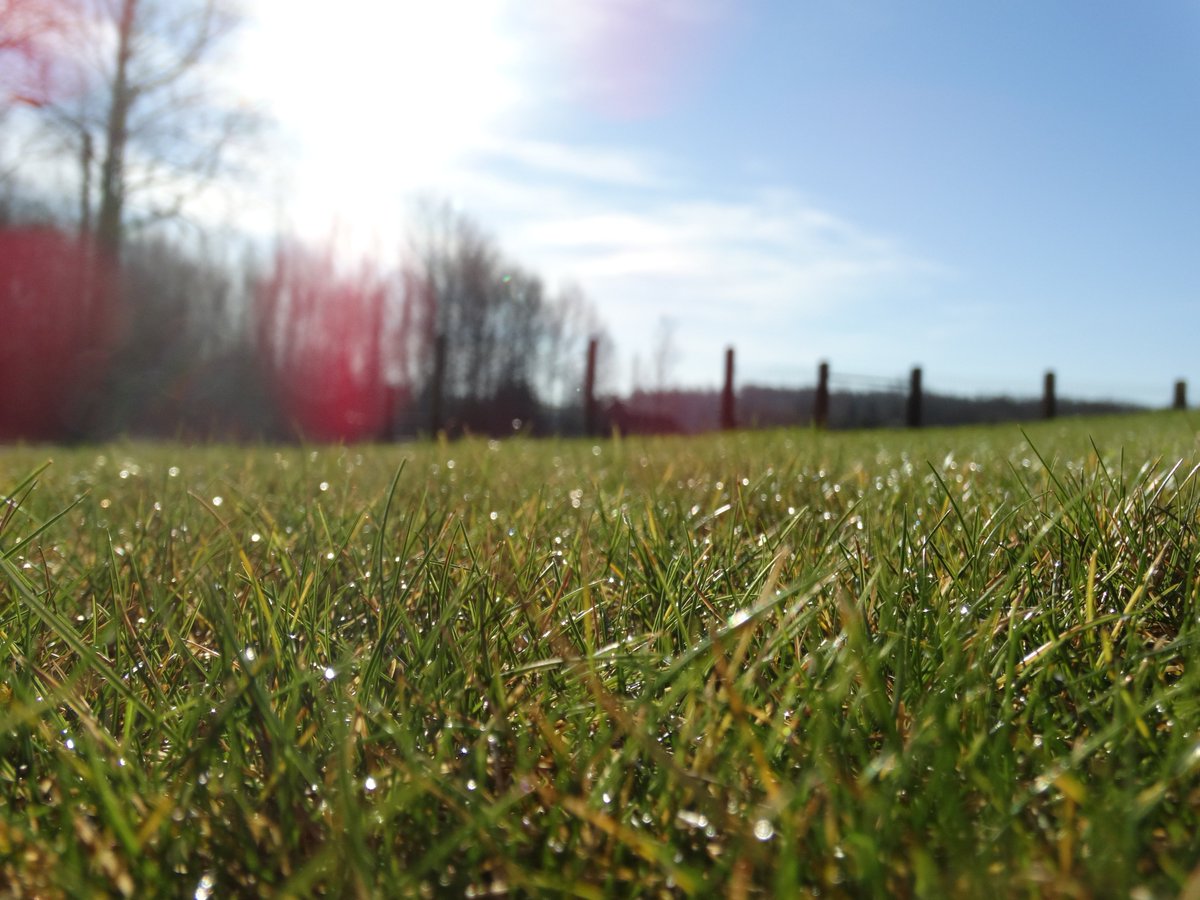 Barilinga's tweet image. De perfecte #barilinga pauze! Reserveer je work space en kom een dagje #stressloos werken