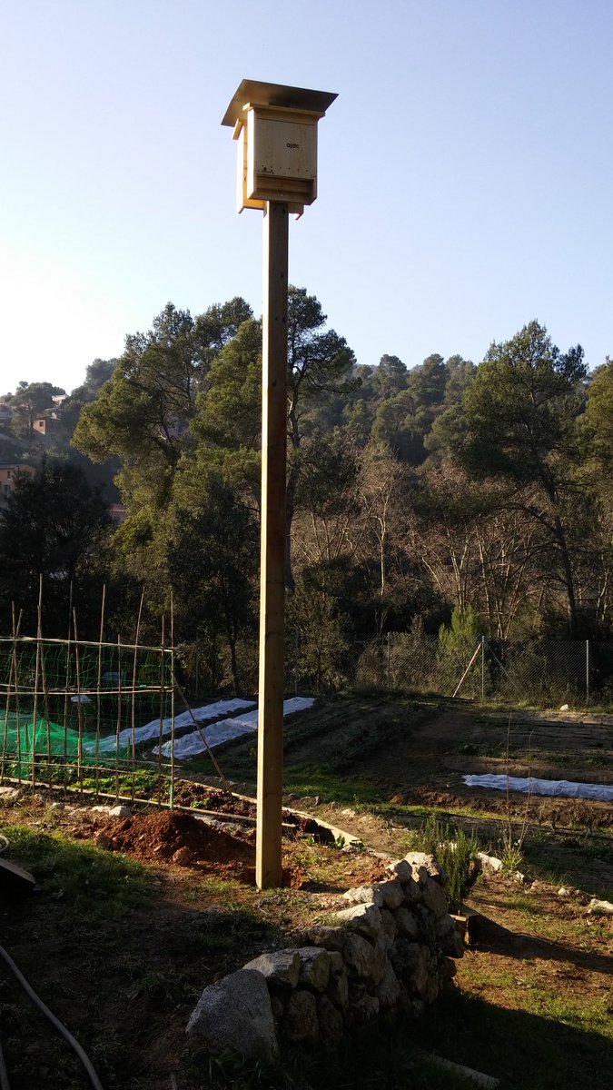 galanthusnatura's tweet photo. Hem https://t.co/r5qhRu53Or torres per a ratpenats, nou recurs per a la bio urbana de Bcn https://t.co/sYyT9gfBJ3
