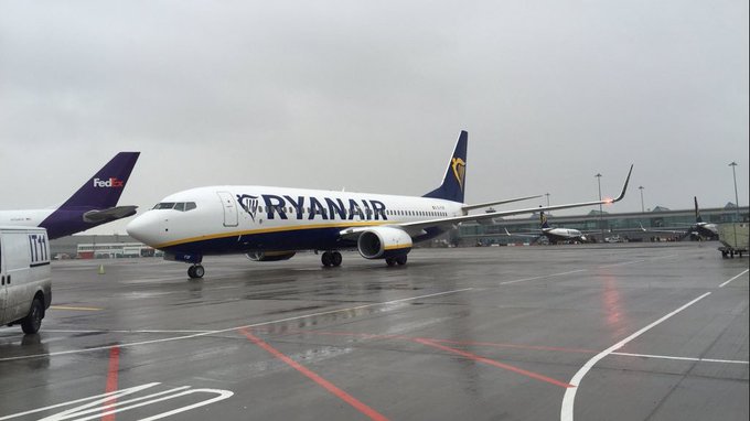 View image on Twitter