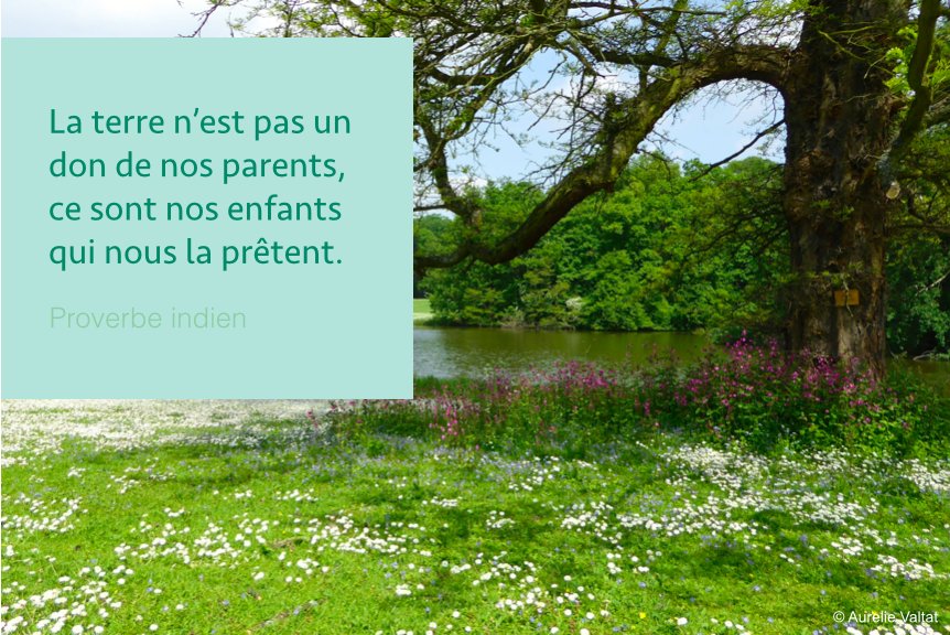 Aurelie Valtat Su Twitter La Terre N Est Pas Un Don De Nos Parents Ce Sont Nos Enfants Qui Nous La Pretent Proverbe Indien Citation Nature T Co C94p1dry16 Twitter
