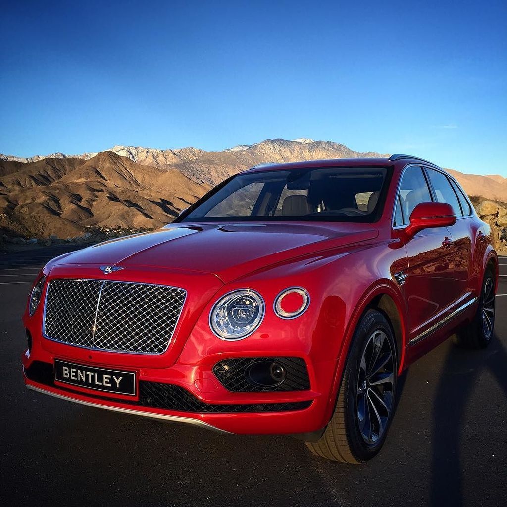 Explosive_Alan's tweet image. Today's office... #ExplosiveAlan ift.tt/1ZVKkKl