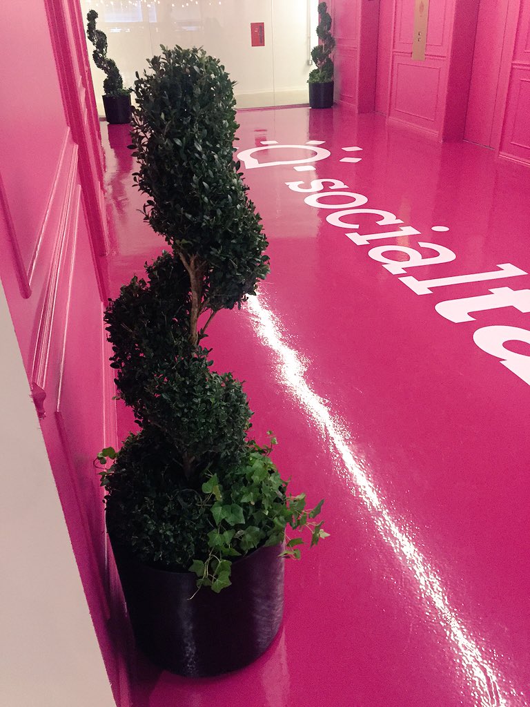 1aura1opez's tweet photo. #STplants #STHQ 🌿🌴🌱🌲 https://t.co/eutVomZ19l