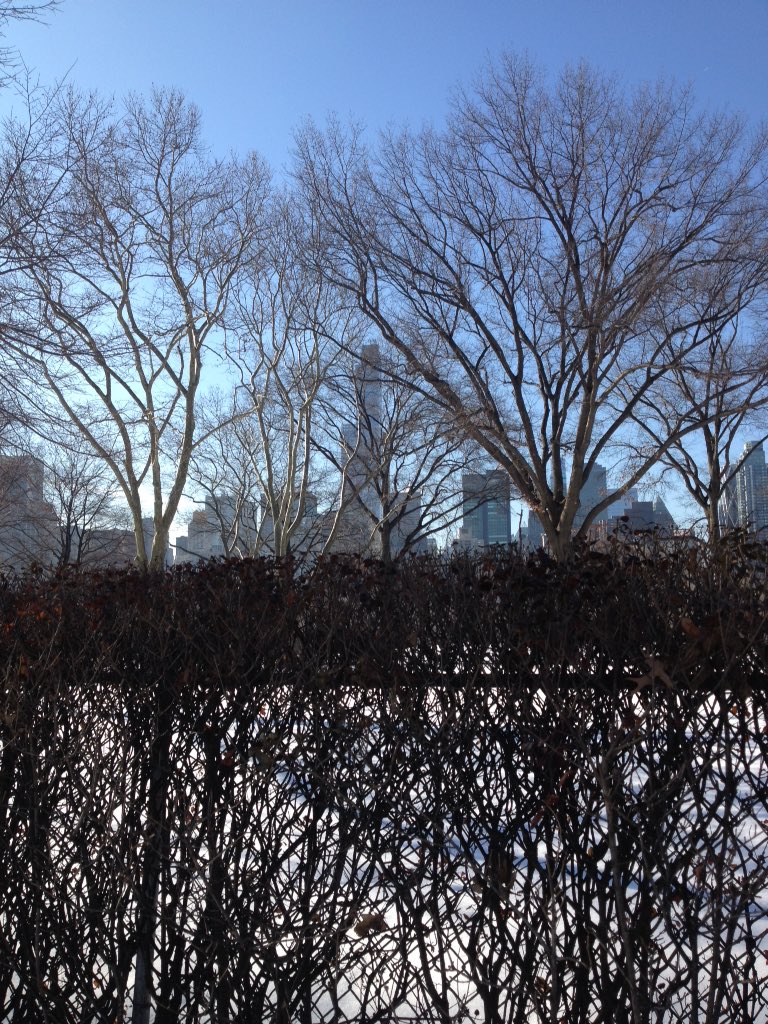 readyrunner326's tweet image. Hill repeats 15 w/ 20 sec recovery. Scenery like this gets your butt motivated! #gopark #centralpark #run #running