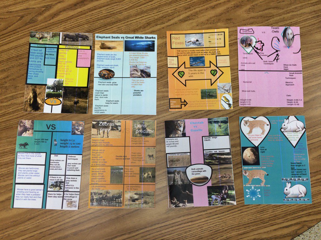 JdeppsJessica's tweet photo. 3rd grade animal info graphics. @LynnhavenES @rbmartinette @MissGraham12 https://t.co/nFPqNus1OG